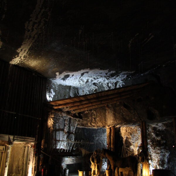 Wieliczka zoutmijn - Wieliczka - Polen