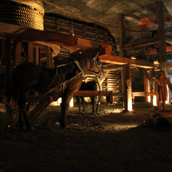 Wieliczka zoutmijn - Wieliczka - Polen