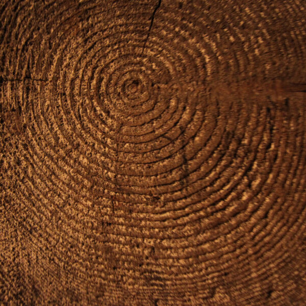 Wieliczka zoutmijn - Wieliczka - Polen