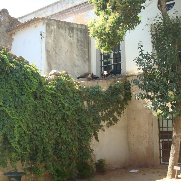 Jardim Público - Évora - Portugal