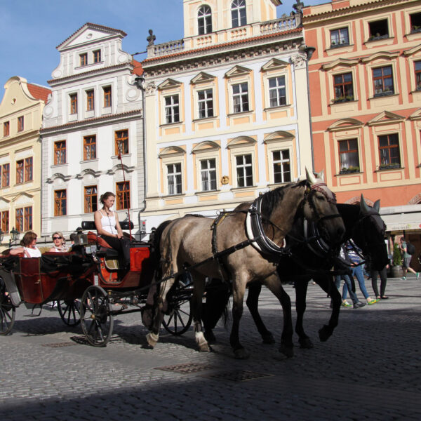 Plein Oude Stad -Praag- Tsjechië