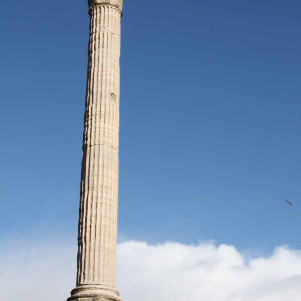 Zuil van Phocas - Rome - Italië