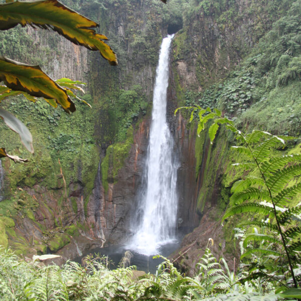 Catarata del Toro - Bajos del Toro - Costa Rica