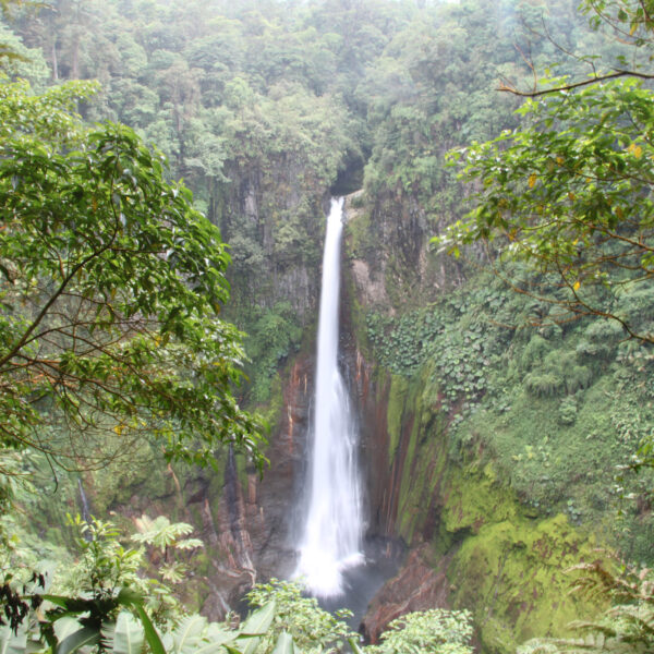 Catarata del Toro - Bajos del Toro - Costa Rica