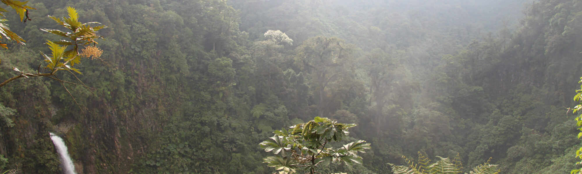 Catarata del Toro - Bajos del Toro - Costa Rica