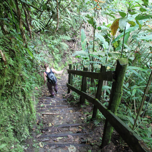 Catarata del Toro - Bajos del Toro - Costa Rica