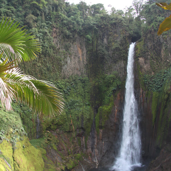 Catarata del Toro - Bajos del Toro - Costa Rica