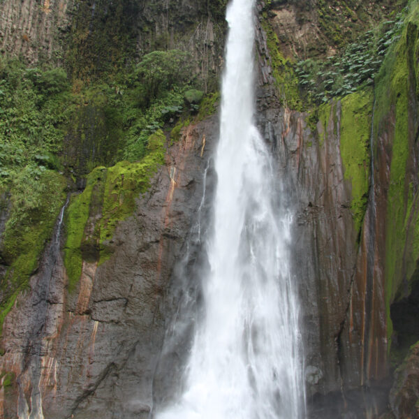Catarata del Toro - Bajos del Toro - Costa Rica