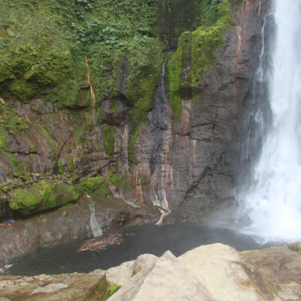 Catarata del Toro - Bajos del Toro - Costa Rica