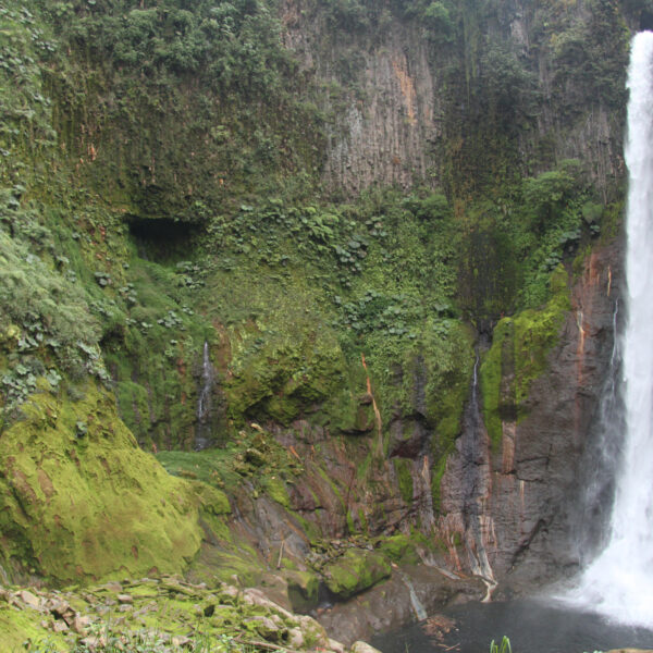 Catarata del Toro - Bajos del Toro - Costa Rica