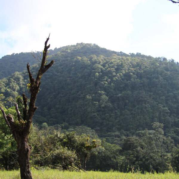 Cerro Chato - Parque Nacional Volcán Arenal - Costa Rica