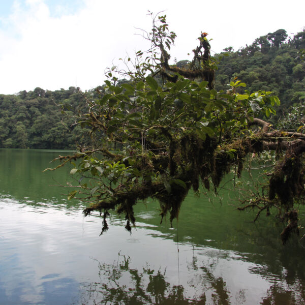 Cerro Chato - Parque Nacional Volcán Arenal - Costa Rica