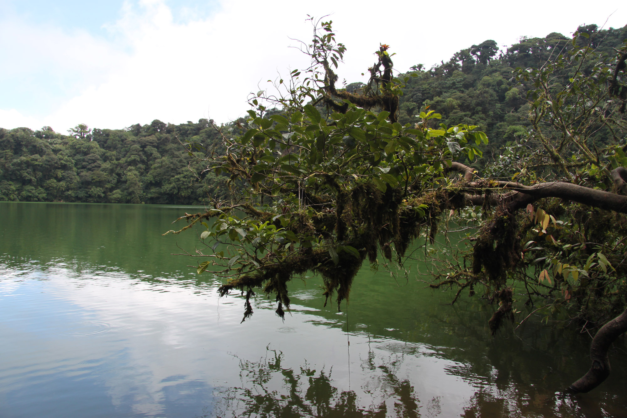 Cerro Chato - Parque Nacional Volcán Arenal - Costa Rica