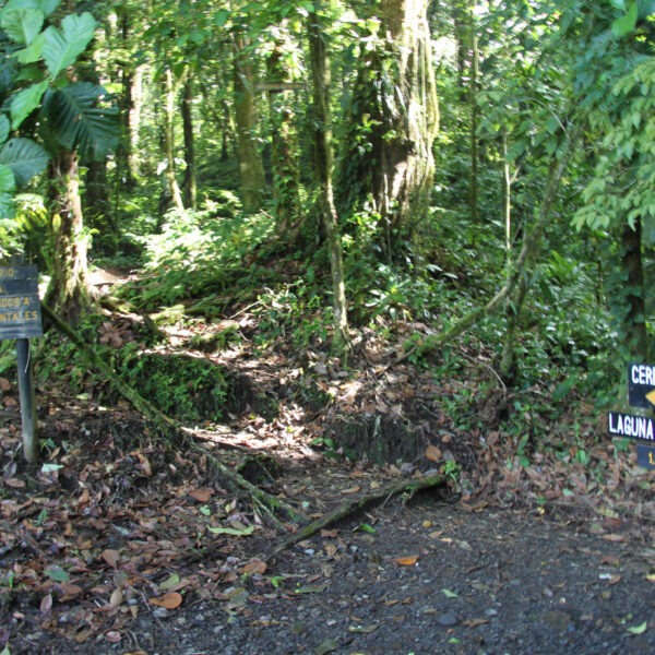 Cerro Chato - Parque Nacional Volcán Arenal - Costa Rica