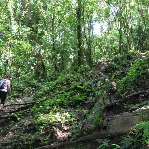 Cerro Chato - Parque Nacional Volcán Arenal - Costa Rica