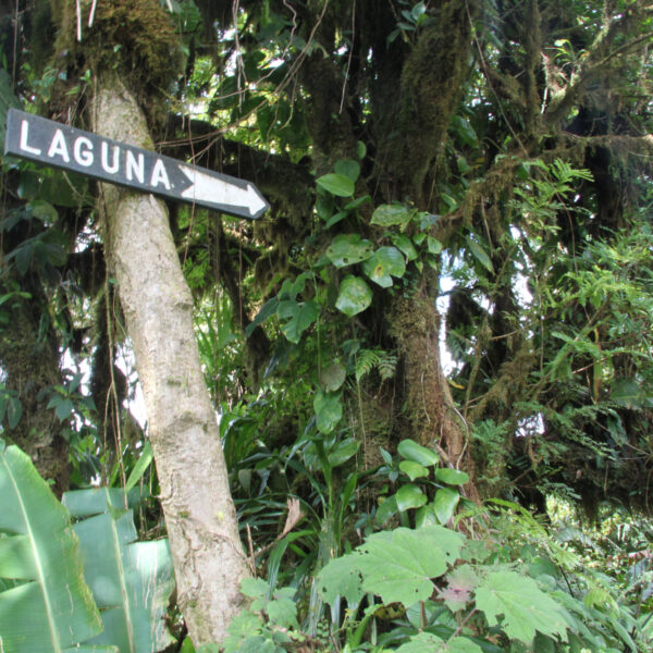 Cerro Chato - Parque Nacional Volcán Arenal - Costa Rica