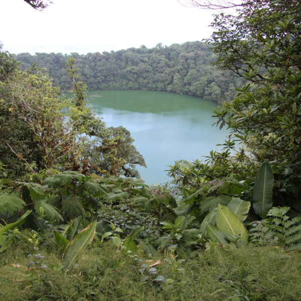 Cerro Chato - Parque Nacional Volcán Arenal - Costa Rica