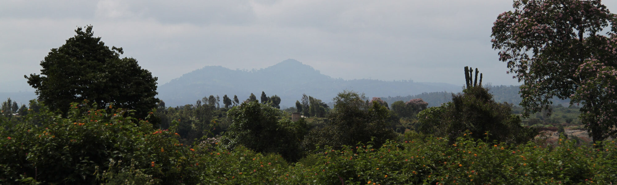 Mount Kenya National Park - Kenia