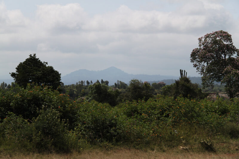 Mount Kenya National Park - Kenia