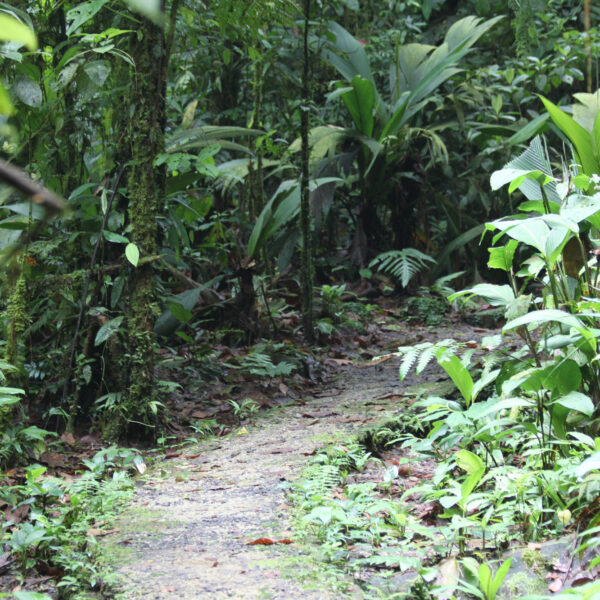 Parque Nacional Braulio Carrillo - Costa Rica