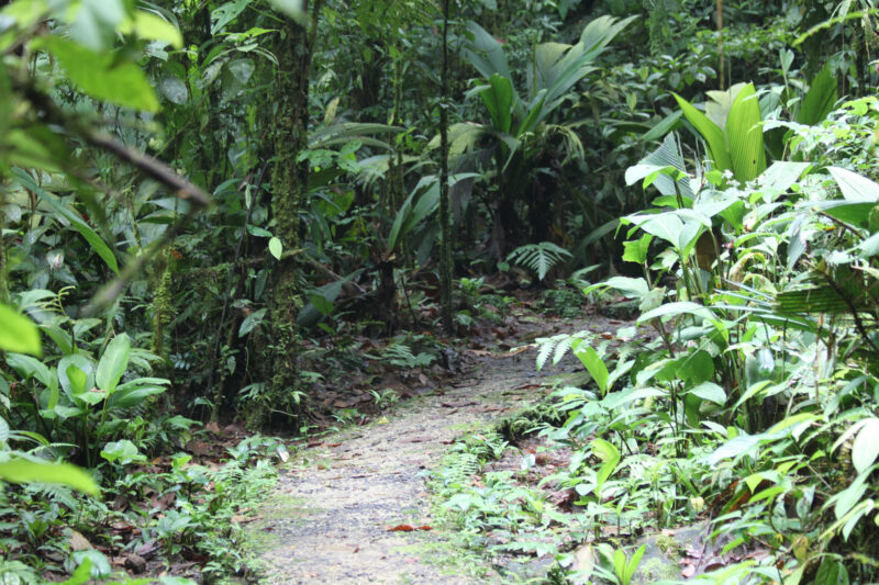 Parque Nacional Braulio Carrillo - Costa Rica