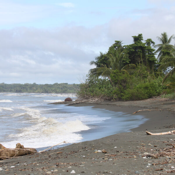 Parque Nacional Corcovado - Costa Rica