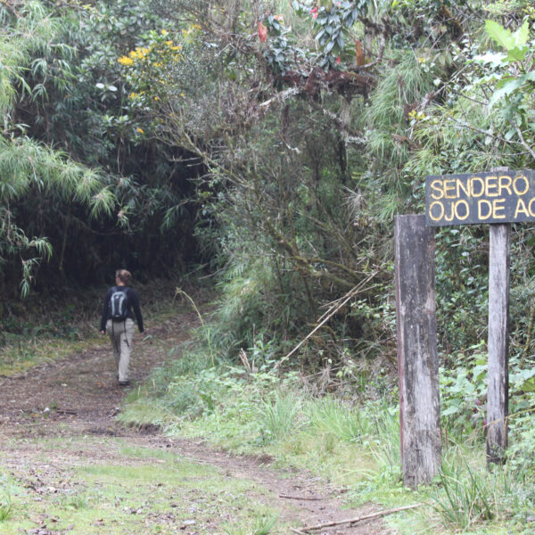 Parque Nacional Los Quetzales - Costa RIca