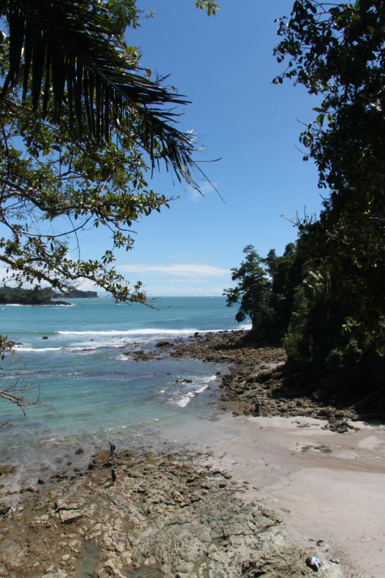 Parque Nacional Manuel Antonio in Costa Rica - Reizen ...