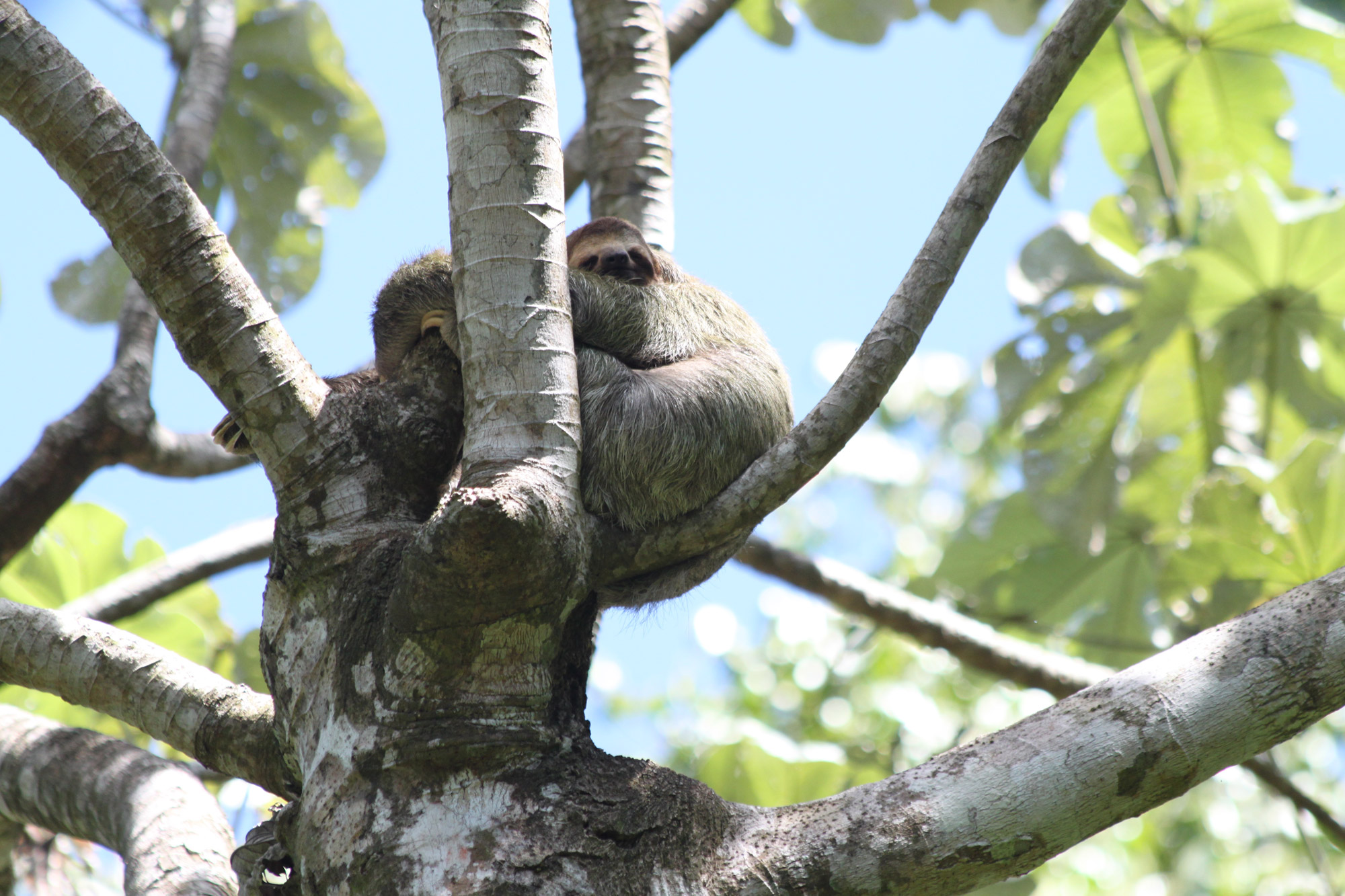 Parque Nacional Manuel Antonio