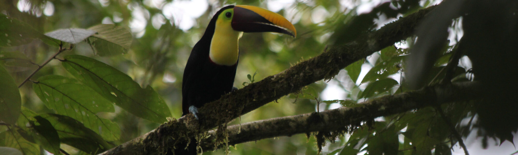 Parque Nacional Piedras Blancas - Costa Rica