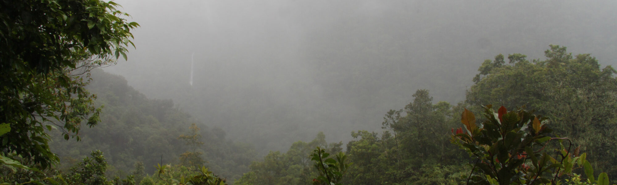 Parque Nacional Tapanti Macizo de la Muerte - Costa Rica