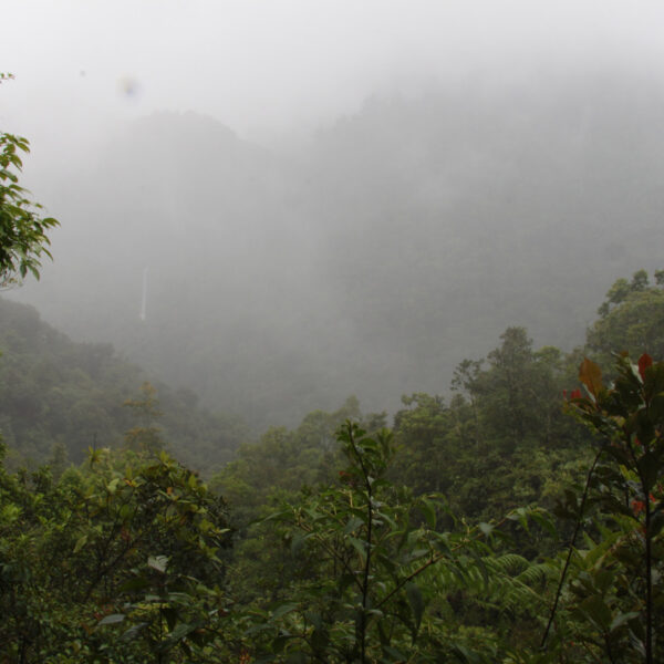 Parque Nacional Tapanti Macizo de la Muerte - Costa Rica