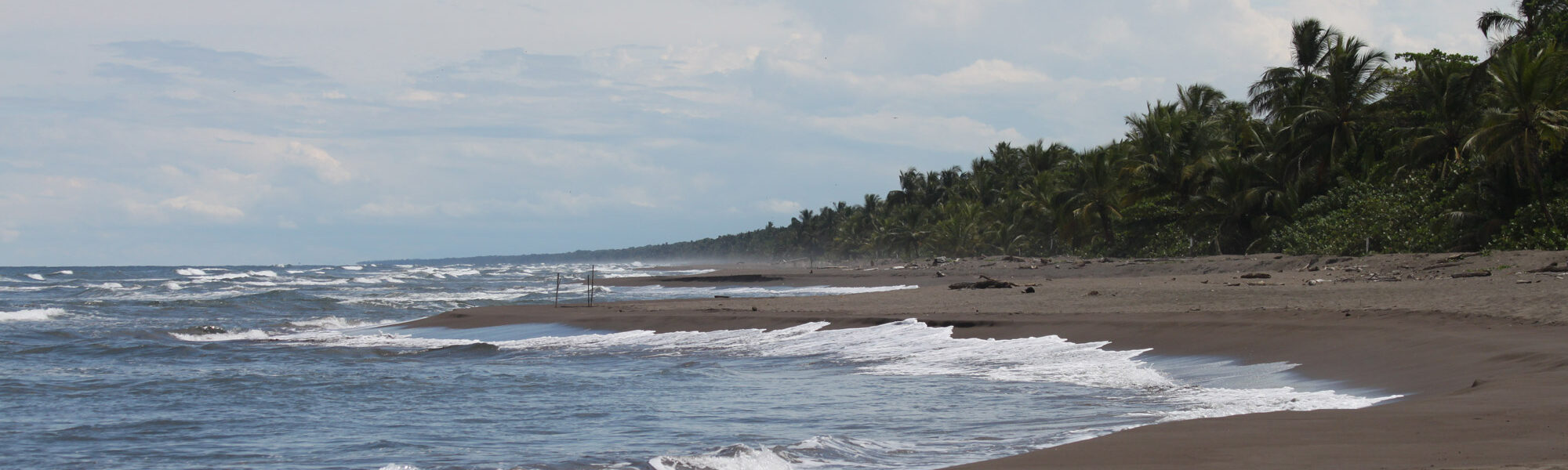 Parque Nacional Tortuguero - Tortuguero - Costa Rica