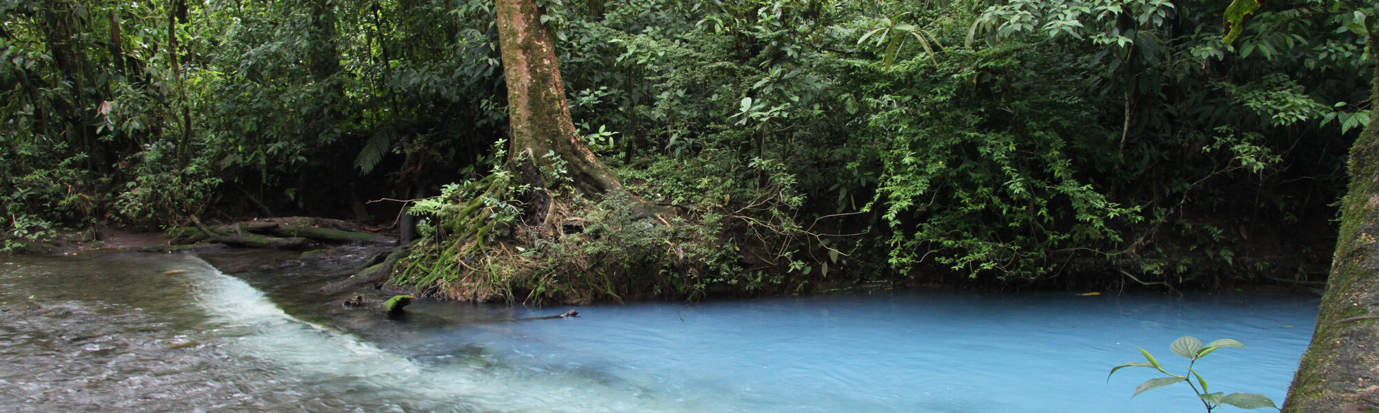 Parque Nacional Volcán Tenorio - Costa Rica