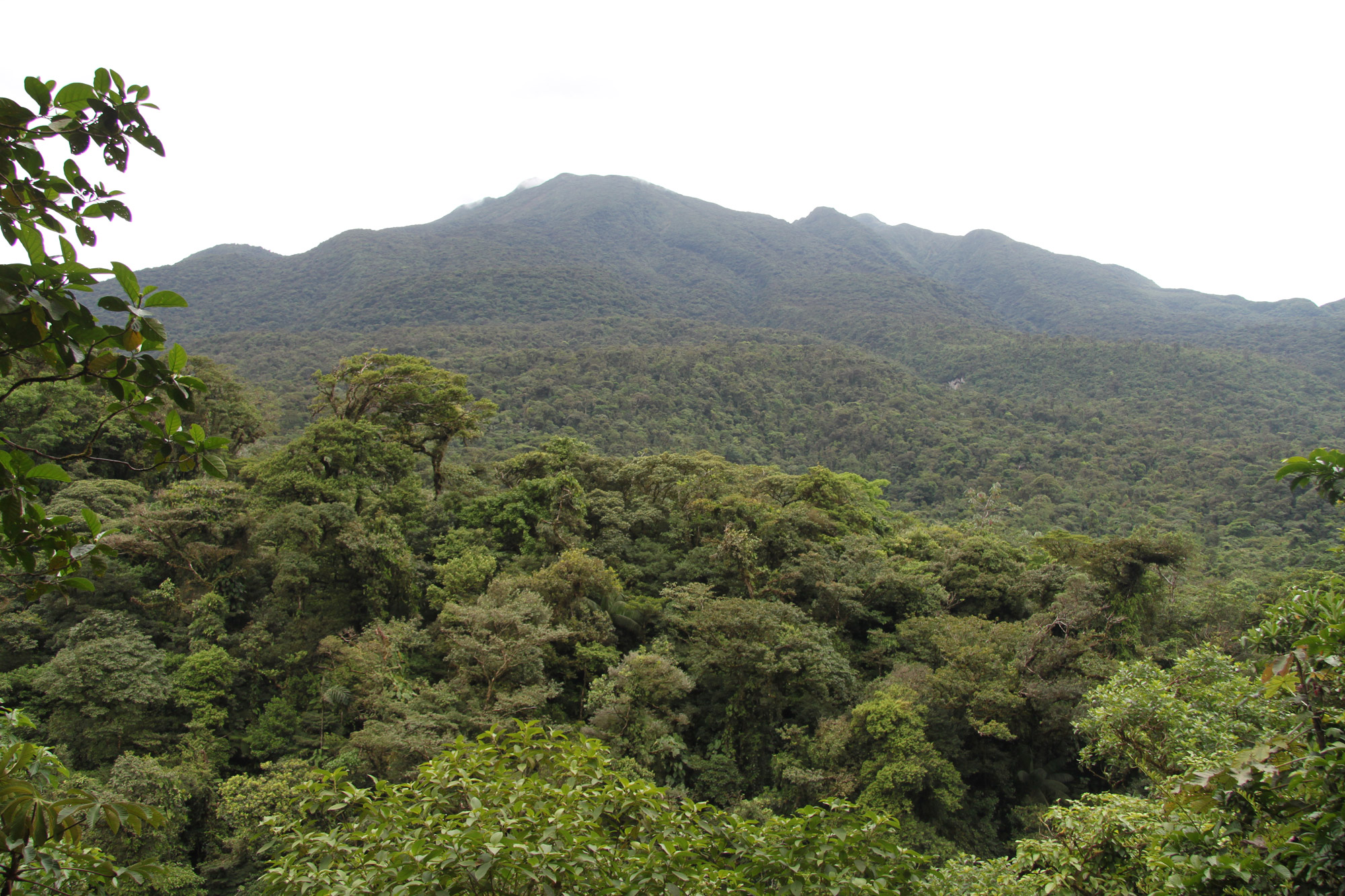 Parque Nacional Volcán Tenorio - Costa Rica
