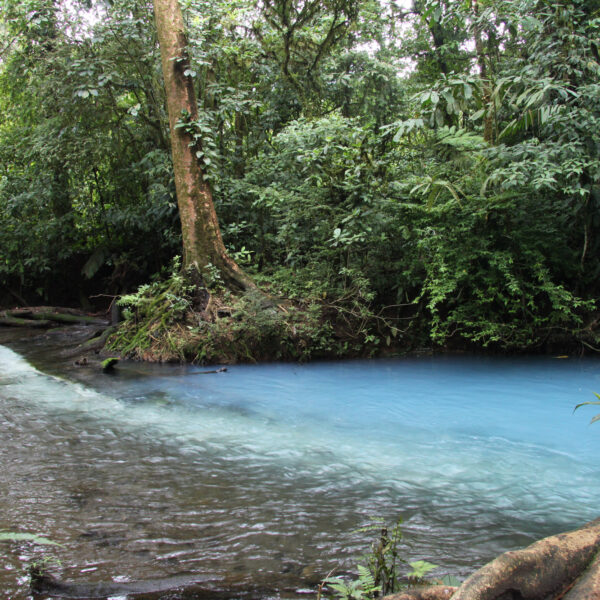 Parque Nacional Volcán Tenorio - Costa Rica