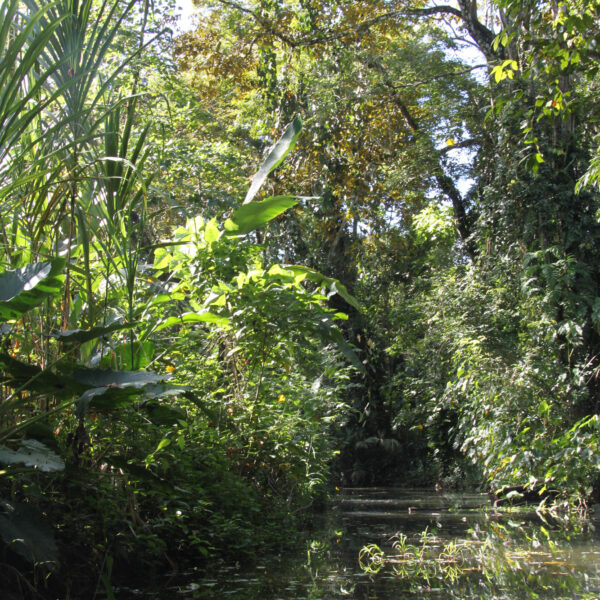 Sloth Sanctuary - Cahuita - Costa Rica