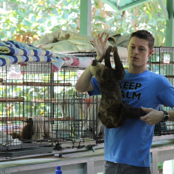 Sloth Sanctuary - Cahuita - Costa Rica