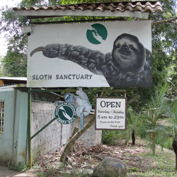 Sloth Sanctuary - Cahuita - Costa Rica
