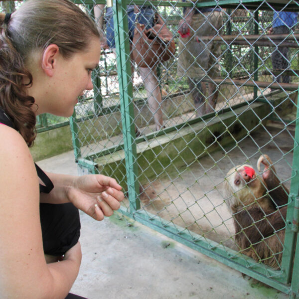 Sloth Sanctuary - Cahuita - Costa Rica