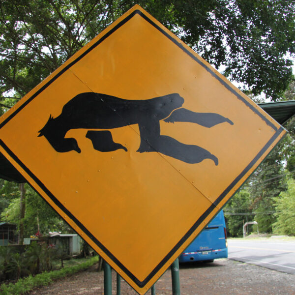 Sloth Sanctuary - Cahuita - Costa Rica