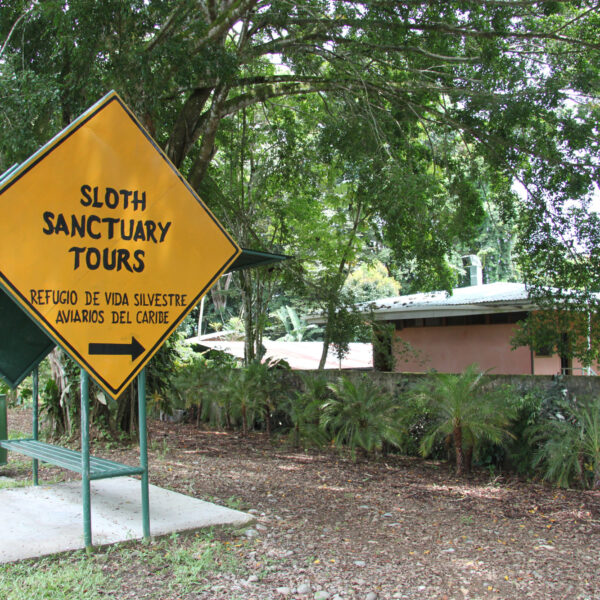 Sloth Sanctuary - Cahuita - Costa Rica