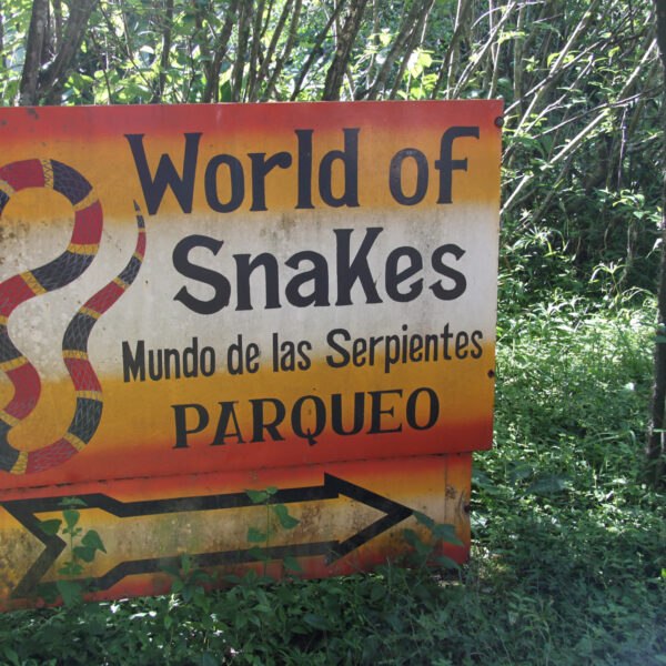 World of Snakes - Grecia - Costa Rica