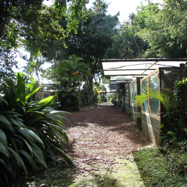 World of Snakes - Grecia - Costa Rica