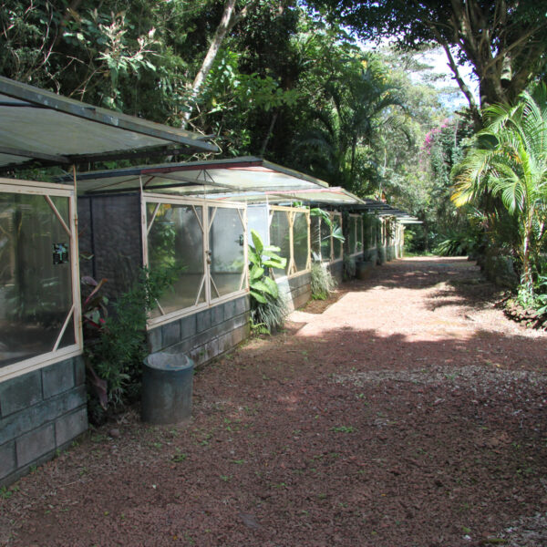 World of Snakes - Grecia - Costa Rica