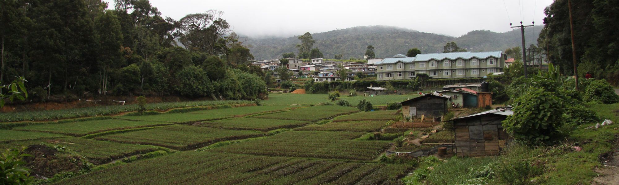 Bandarawela - Sri Lanka