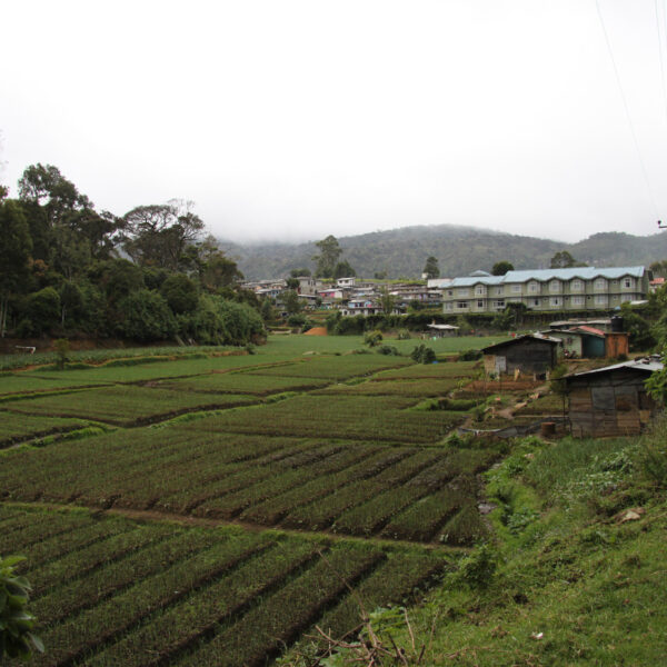 Bandarawela - Sri Lanka