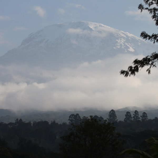 Kilimanjaro National Park - Tanzania