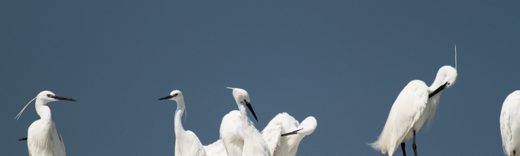 Lake Victoria - Tanzania