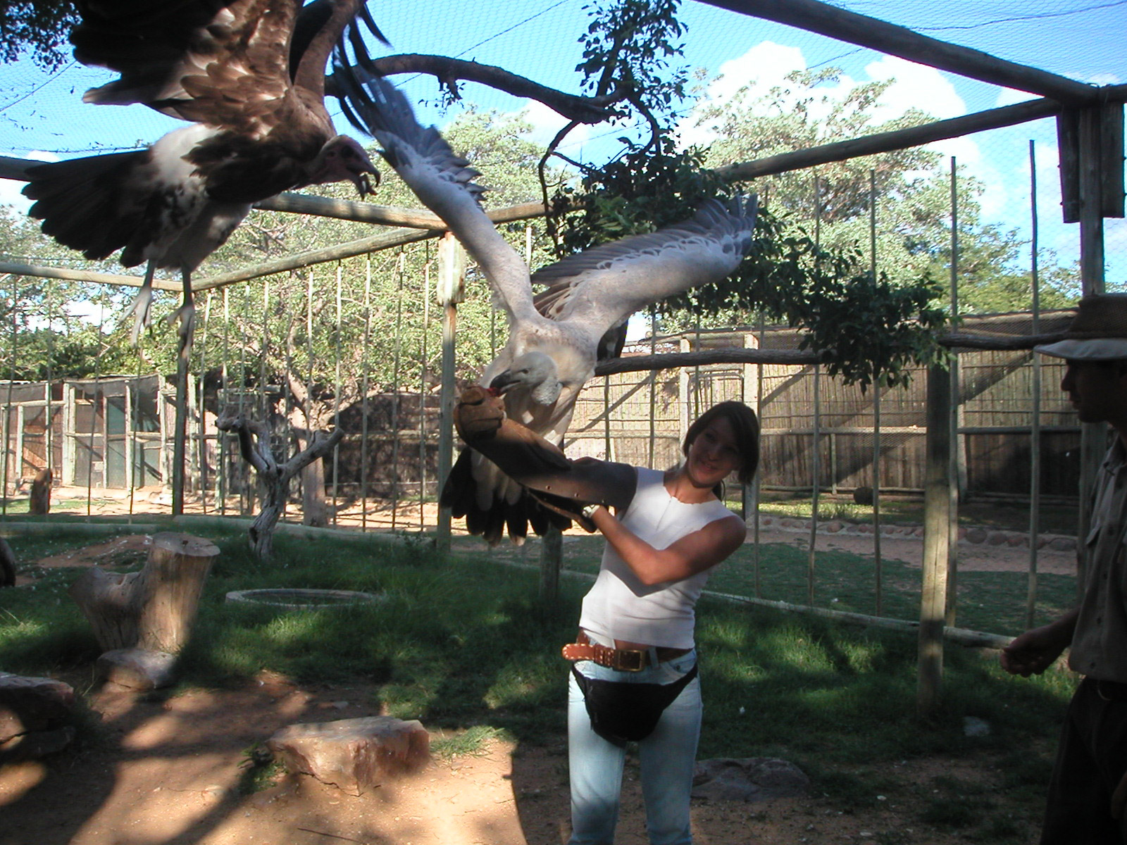 Moholoholo - Dieren rehabilitatie en opvang